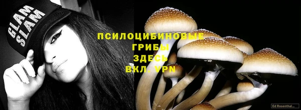 винт Горнозаводск
