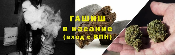 индика Горно-Алтайск