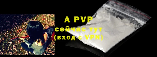 индика Горно-Алтайск