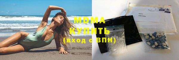 индика Горно-Алтайск