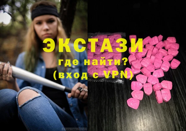 индика Горно-Алтайск
