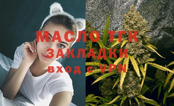 индика Горно-Алтайск