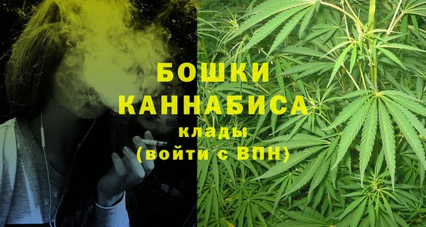 гидропоника Горняк