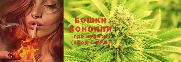 гидропоника Горняк