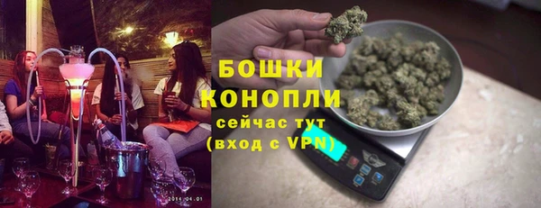 индика Горно-Алтайск